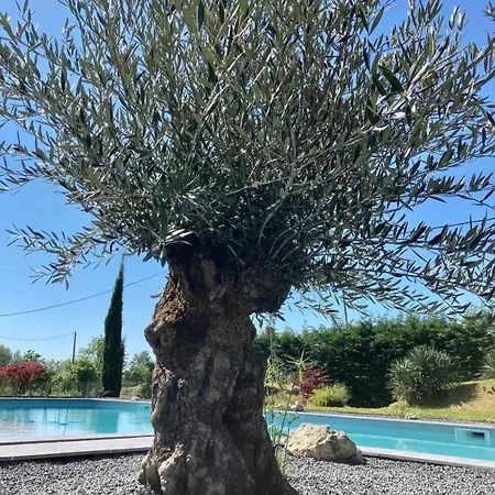 Avec Piscine Villa *